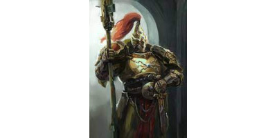 Adeptus Custodes